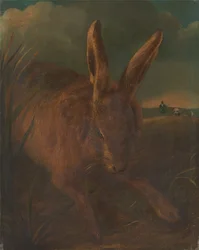 Hare Hunting